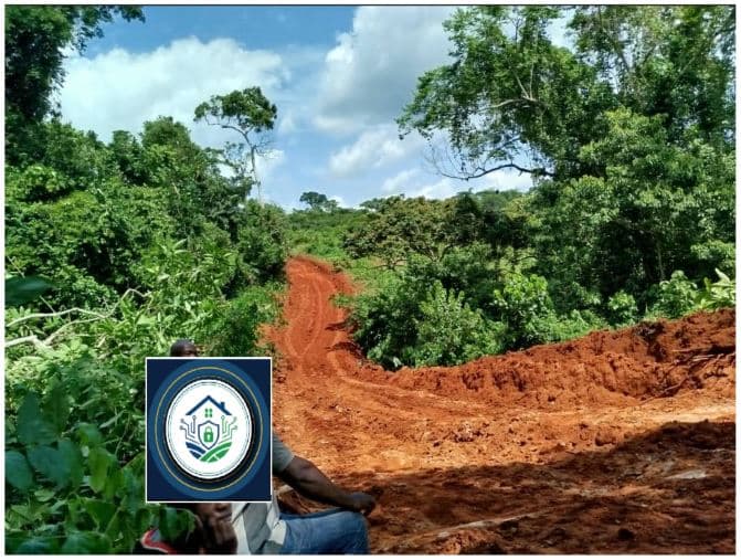 Terrain de plus d’un hectare à Ngali 2, derrière les habitations
